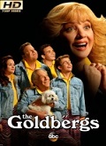 Los Goldberg Temporada 1 [720p]
